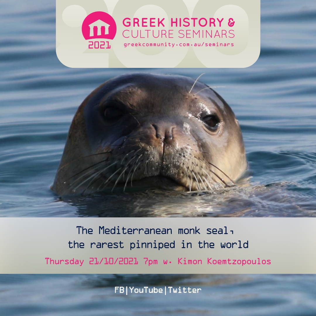 sc_instagram_post-37