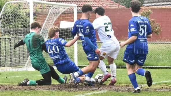 edm-image-template-6