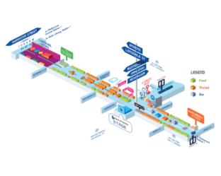 Untitled design (13)