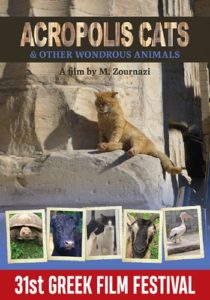 Acropolis Cats and Other Wondrous Animals